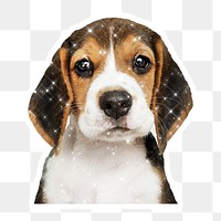 Sparkling beagle puppy sticker with white border