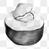 Black and white coconut drawing style overlay