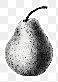 Pear drawing style sticker overlay with white border