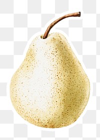 Hand colored pear sticker overlay with white border