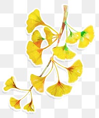 Branch of yellow ginkgo acrylic paint style sticker layer with white border