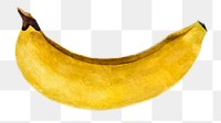 Hand drawn banana oil paint style sticker design element