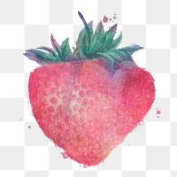 Hand drawn strawberry watercolor style design element