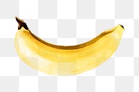 Hand colored banana design element