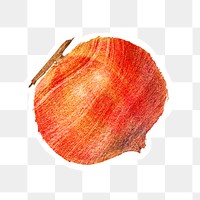 Hand drawn pomegranate brush stroke style sticker overlay with a white border