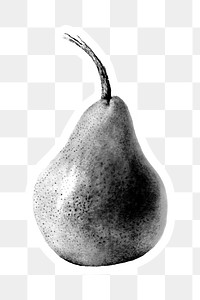 Hand drawn monotone pear sticker design element