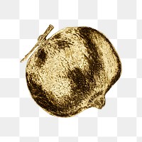 Gold pomegranate fruit sticker design element