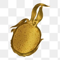 Gold dragon fruit sticker design element