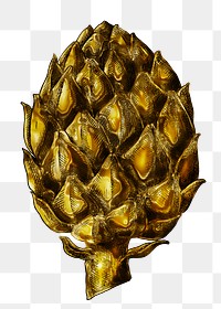 Gold artichoke sticker  design element