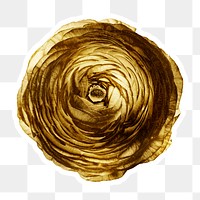 Gold ranunculus flower sticker with a white border