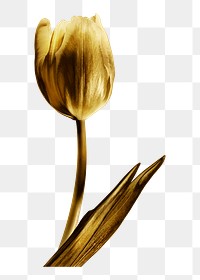 Gold tulip flower sticker design element