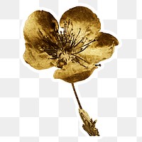 Gold cherry blossom flower sticker with a white border