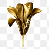 Gold lily flower sticker with a white border