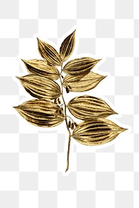 Gold king solomon's seal sticker with a white border