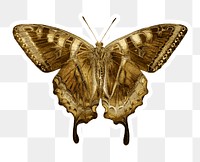 Gold butterfly sticker design element
