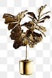 Gold fiddle leaf fig tree sticker design element