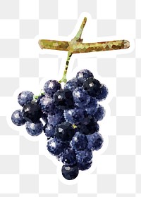 Bunch of purple grapes crystallized style sticker overlay