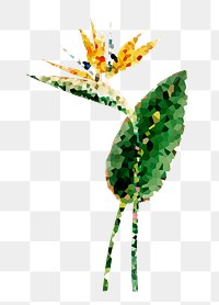 Crystallized bird of paradise flower sticker overlay