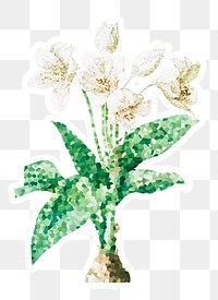 Crystallized african lily flower sticker overlay with a white border
