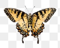 Crystallized majestic butterfly sticker overlay