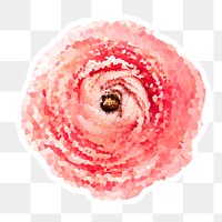 Crystallized ranunculus sticker overlay with a white border