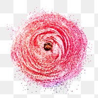 Glittery pink ranunculus flower sticker overlay design element