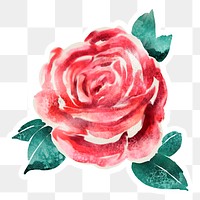 Watercolor red rose flower sticker overlay design element 