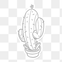 Gray saguaro cactus with a white border