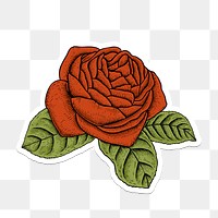 Orange rose flower sticker with a white border design element