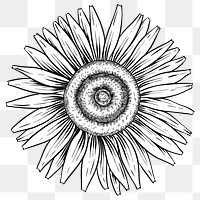 White sunflower sticker design element