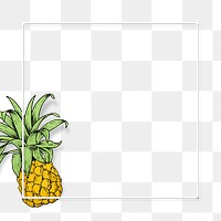 Square hand drawn pineapple frame design element
