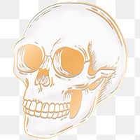 Drawing gold skull design element