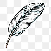 Black and white feather sticker design element