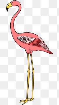 Hand drawn pink flamingo png