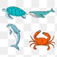 Png sea animal sticker set colorful clipart