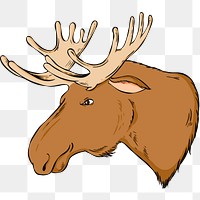 Png vintage moose hand drawn clipart