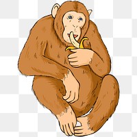 Png vintage hand drawn monkey cartoon clipart