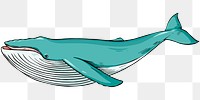 Vintage hand drawn png whale cartoon clipart