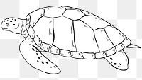 Turtle png vintage black and white clipart