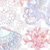 Set of holographic marine life background