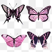 Pink holographic and glittery butterfly design element set