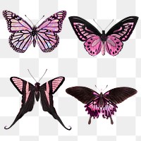 Pink holographic and glittery butterfly design element set