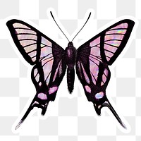Pink hologrpahic butterfly with a white border sticker