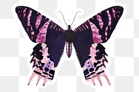 Pink moth with a white border sticker