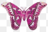 Pink Attacus Atlas Moth design element