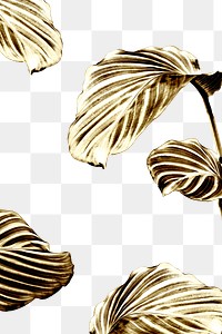 Shiny golden calathea leaves background 