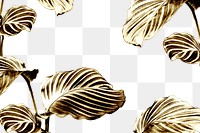 Shiny golden calathea leaves background 