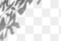 Tropical leaves shadow design element 