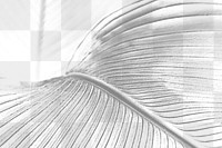 Gray bird of paradise leaf textured design element 