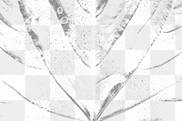 Gray alocasia leaf background design element 